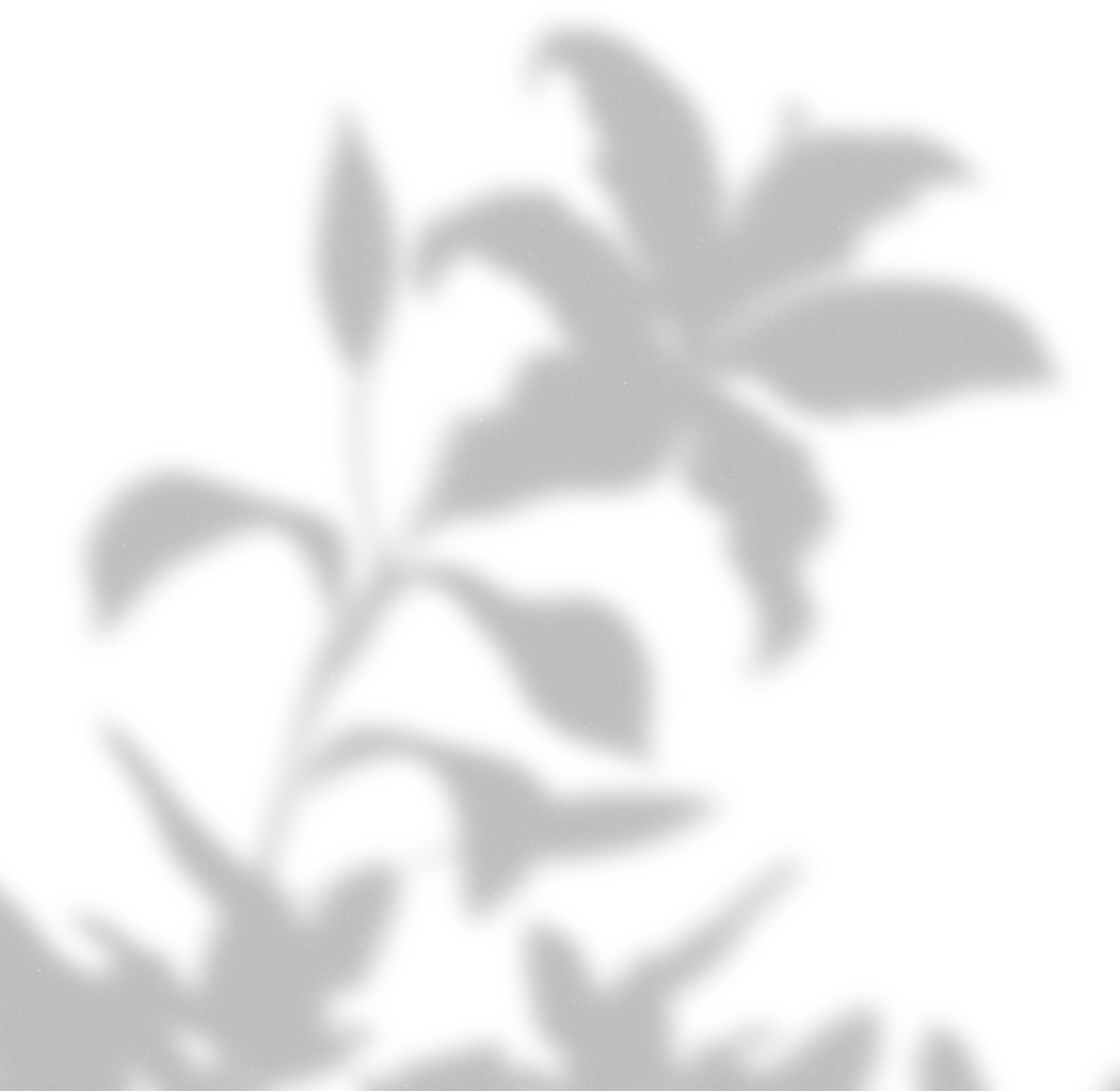 Simple Floral Shadow Lily